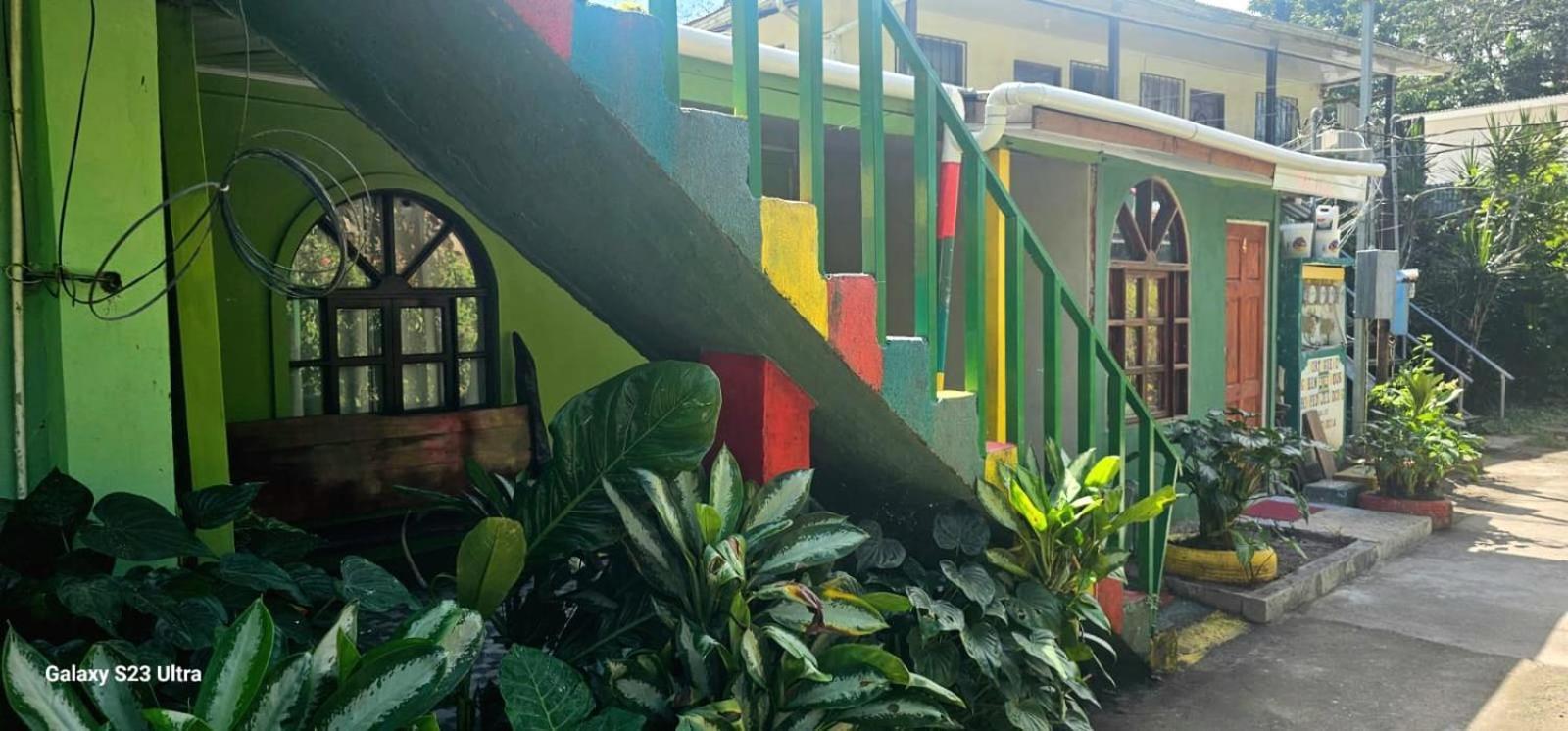 Tortuguero Casa De Playa Green House Appartement Buitenkant foto